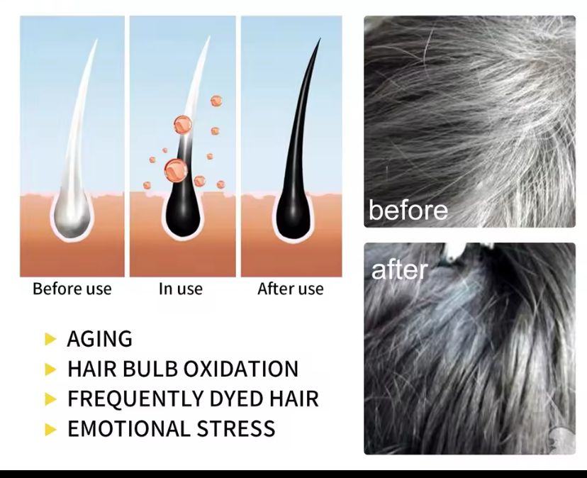 SHAMPOO CHAO 3 EN 1 CUBRE CANAS  40% DESCUENTO
