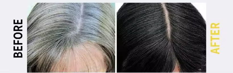 SHAMPOO CHAO 3 EN 1 CUBRE CANAS  40% DESCUENTO